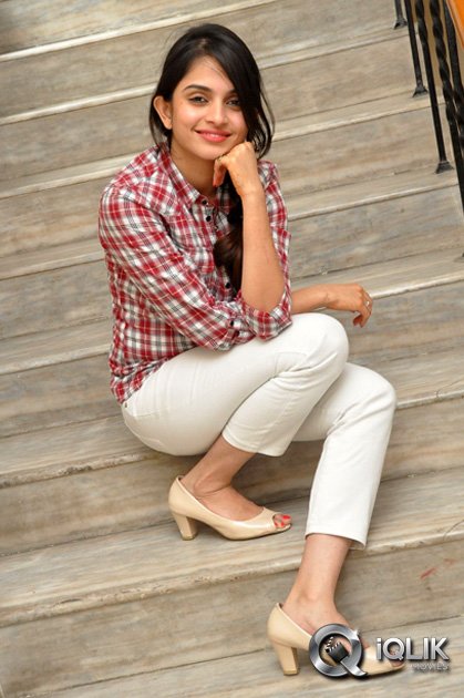 Sheena-Shahabadi-at-Nuvve-Naa-Bangaram-Press-Meet